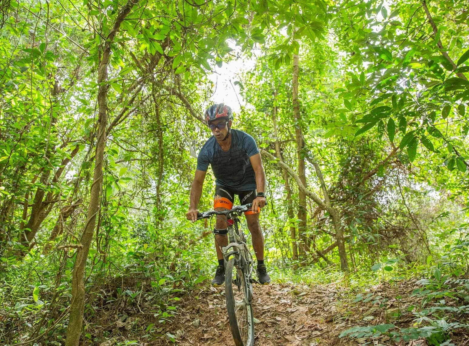 Un ciclista en el sendero del bosque del complejo